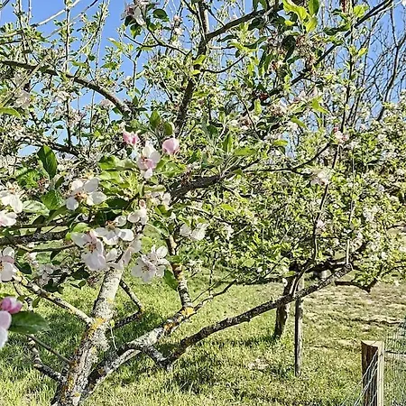 1 Au Calme Dans Le Sauternais Budos