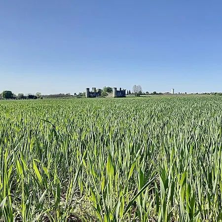 1 Au Calme Dans Le Sauternais