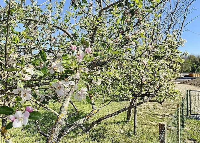 1 Au Calme Dans Le Sauternais Budos