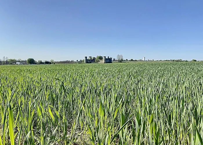 1 Au Calme Dans Le Sauternais